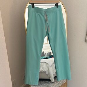 Figs Aqua Livingston Basic Medium Petite scrub pants
